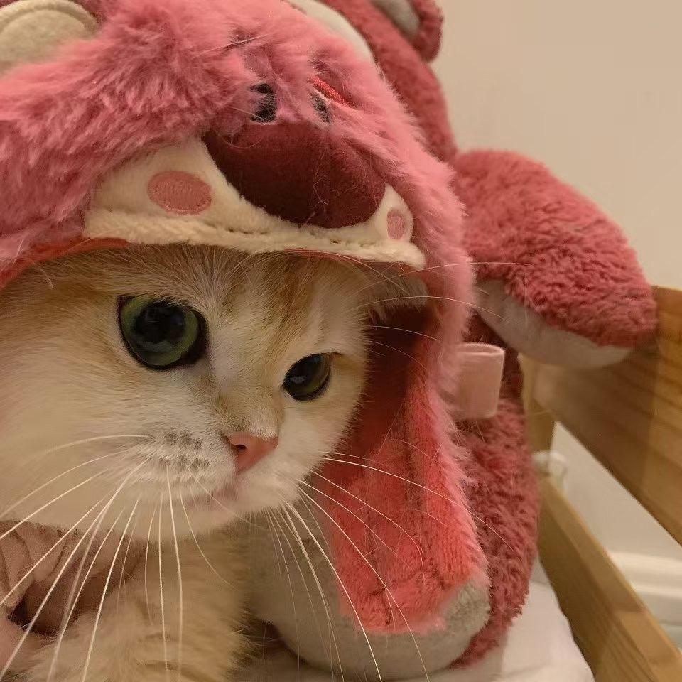 碎觉觉