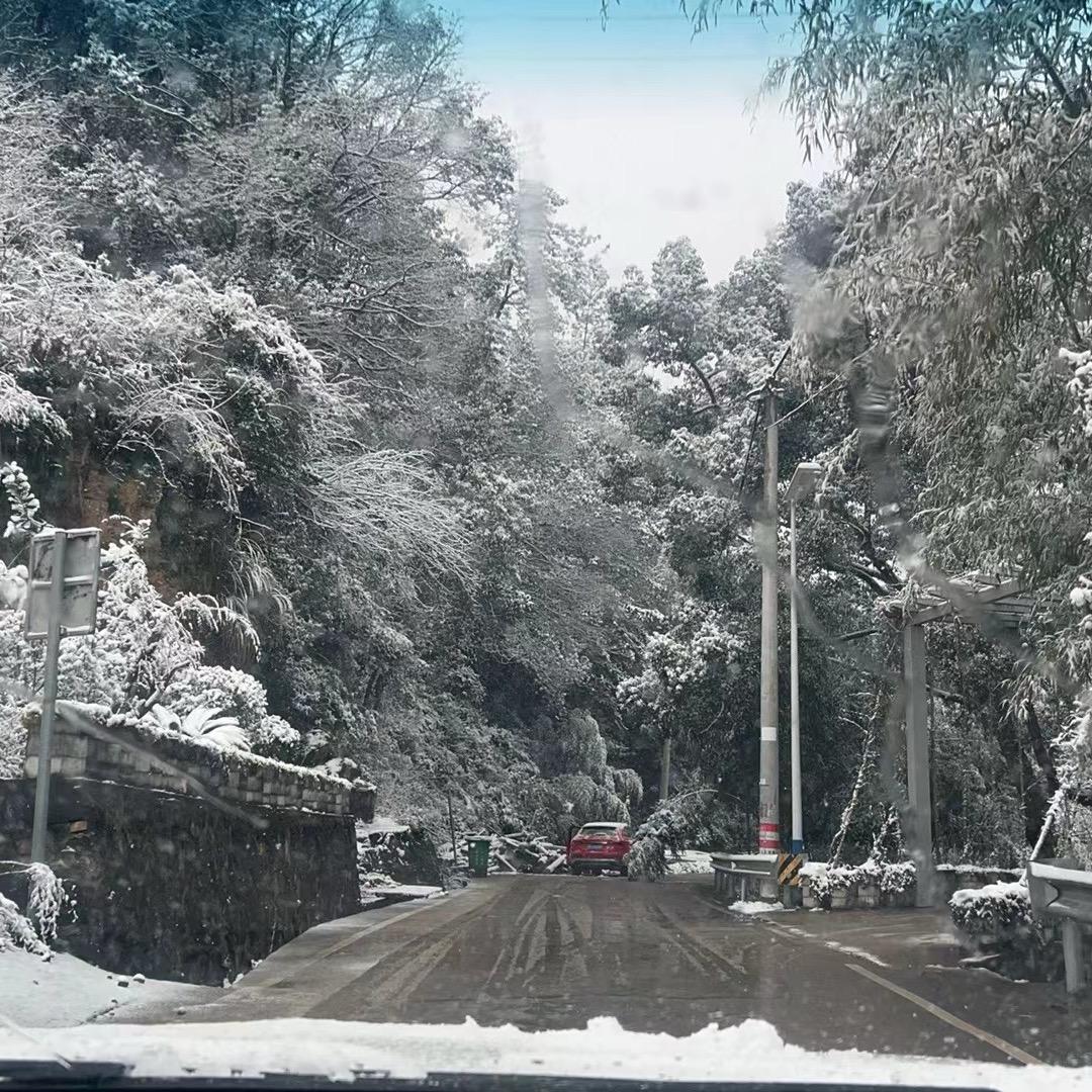 林北