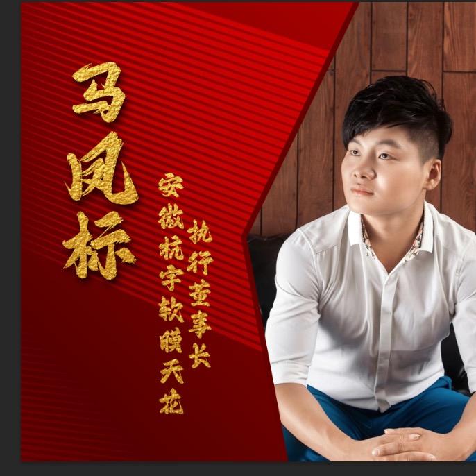 阜阳：杭宇软膜天花，懂事长