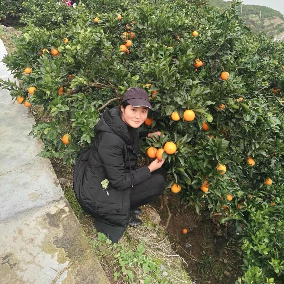 叶子(泄滩橙子🍊姐姐)