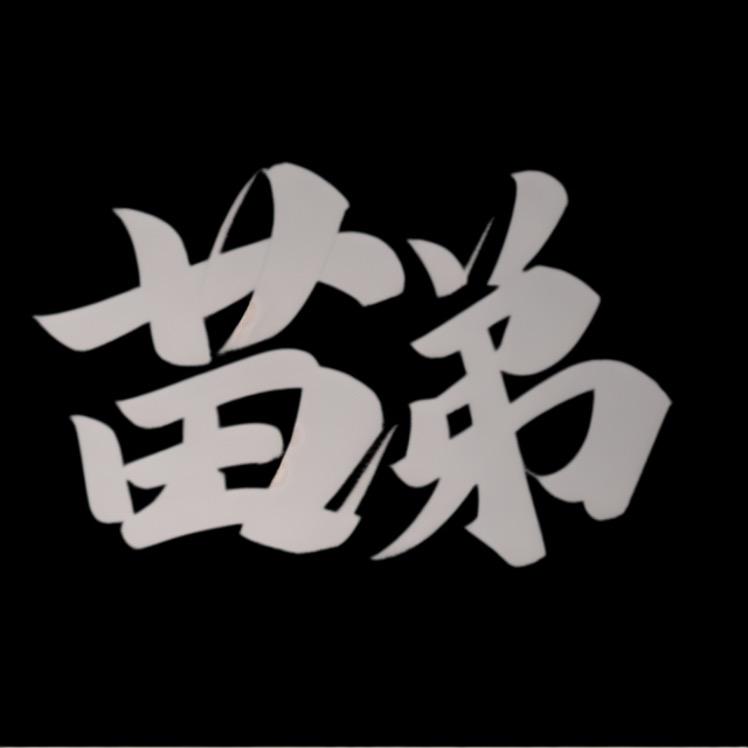 北京重卡-营口强盛苗弟