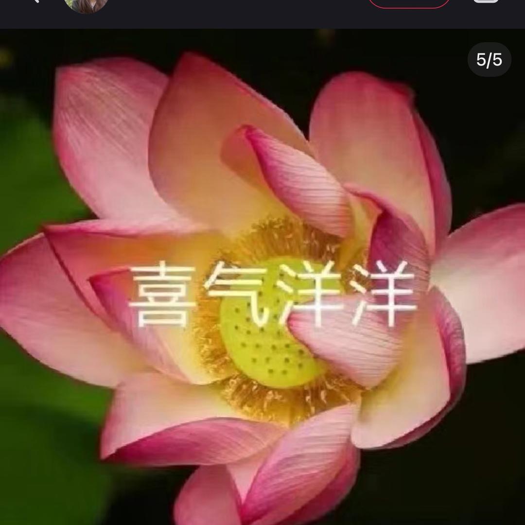 ✨ ✨ 平安健康幸福快乐🎉