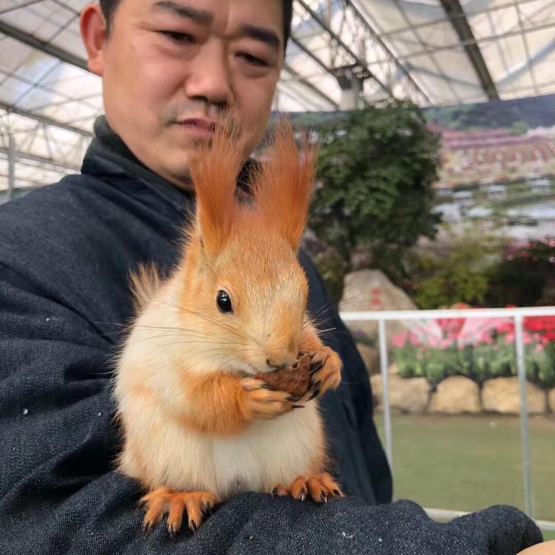 成都老宋