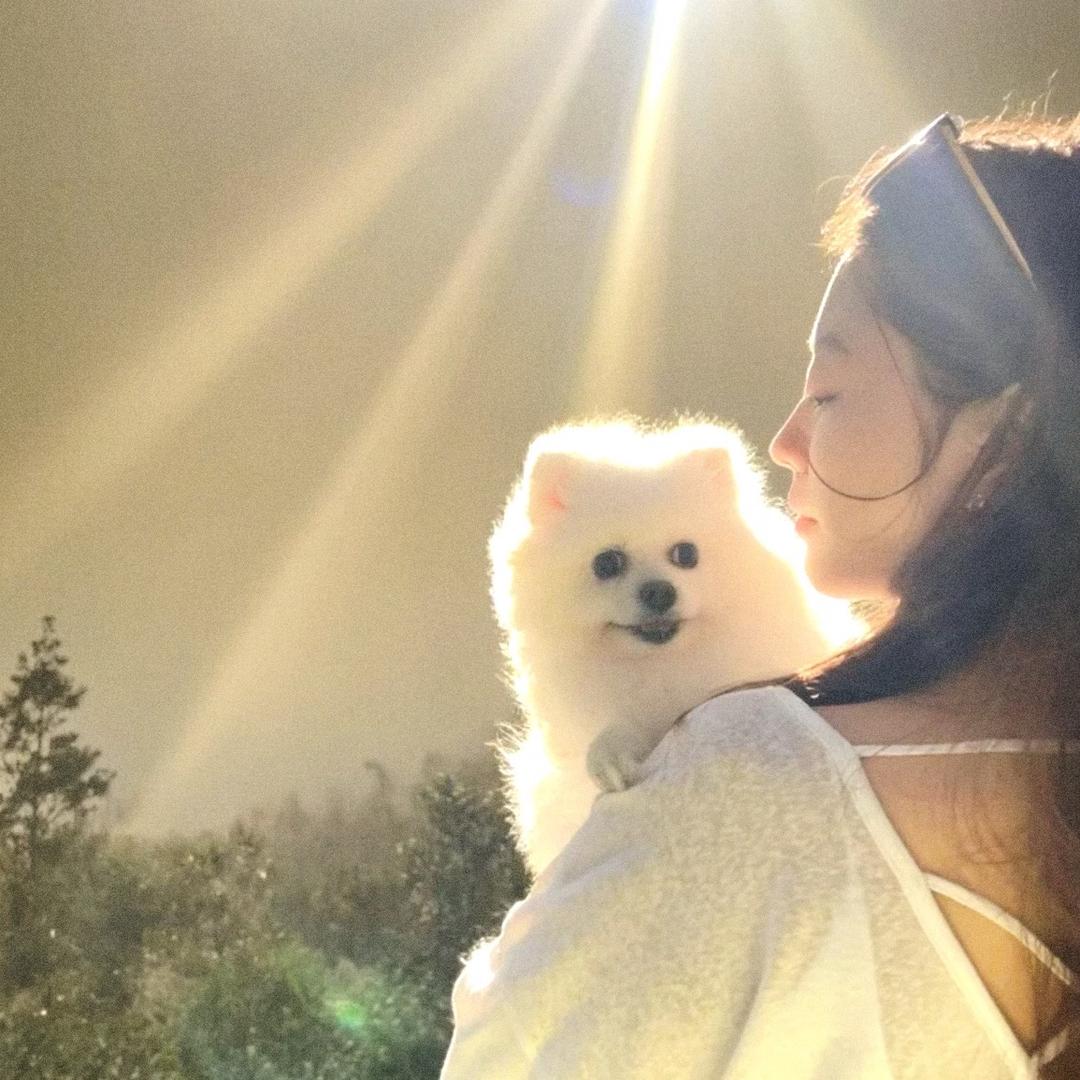 爆炸番茄汁儿🍅·