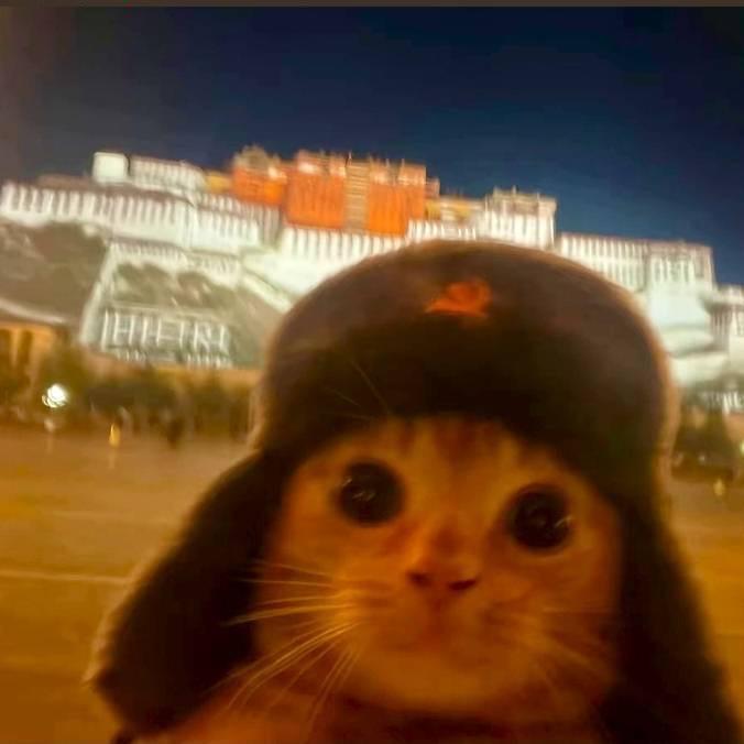 又是下雨天