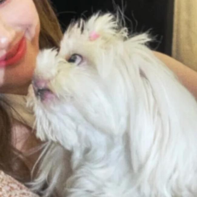 小田的创业日记.