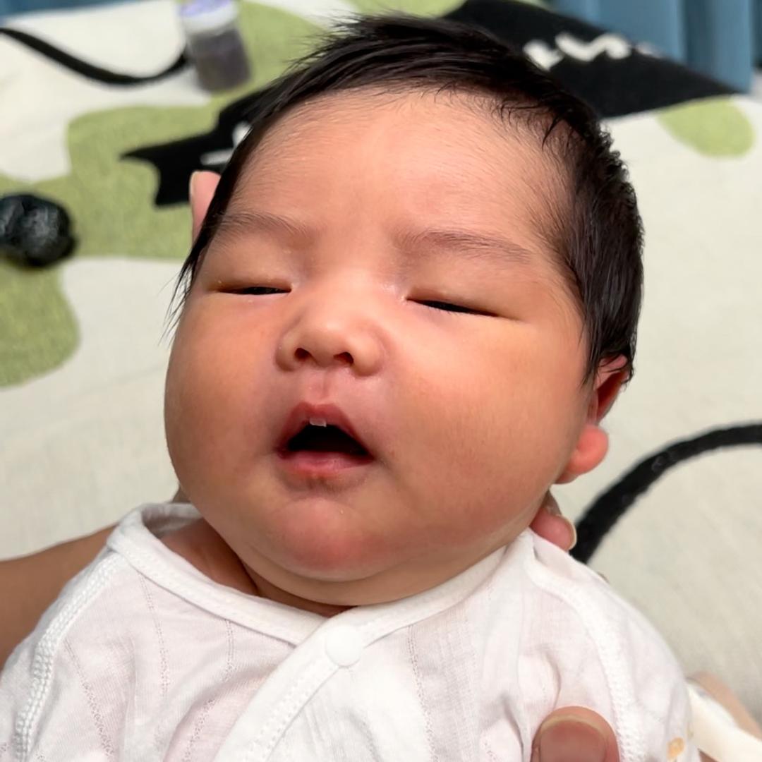 多多的奶爸养成记