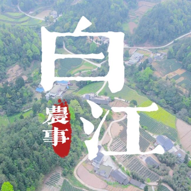 白江农事