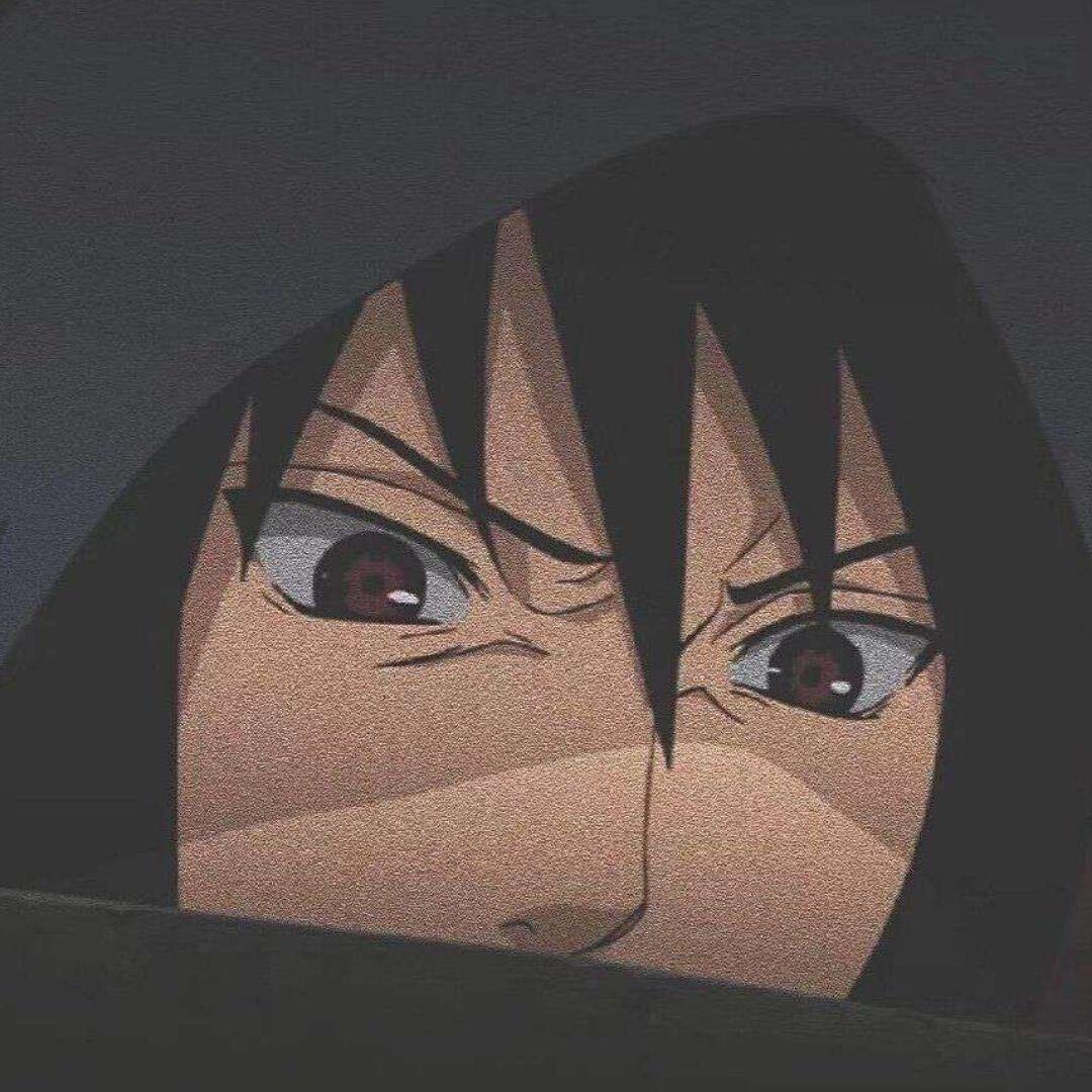 Pop马佳♾️