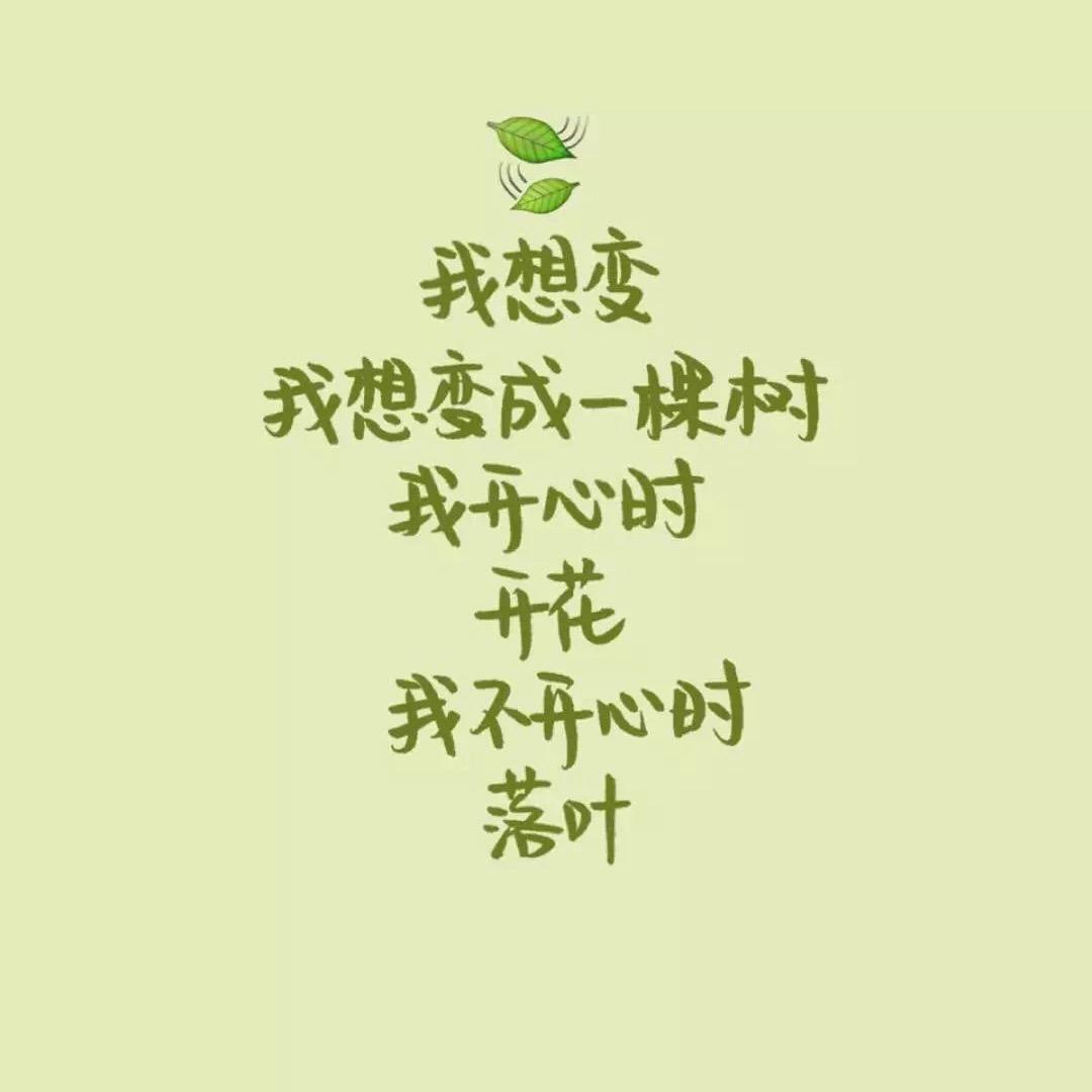 清～影