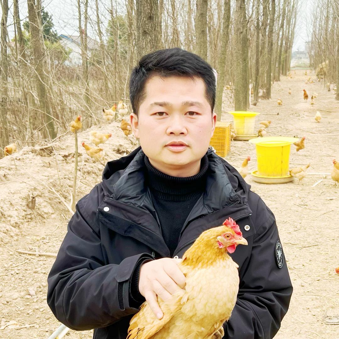 九零后土鸡村长