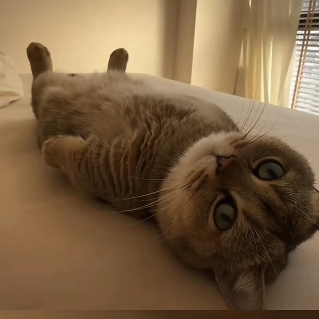 Ryhhhhh