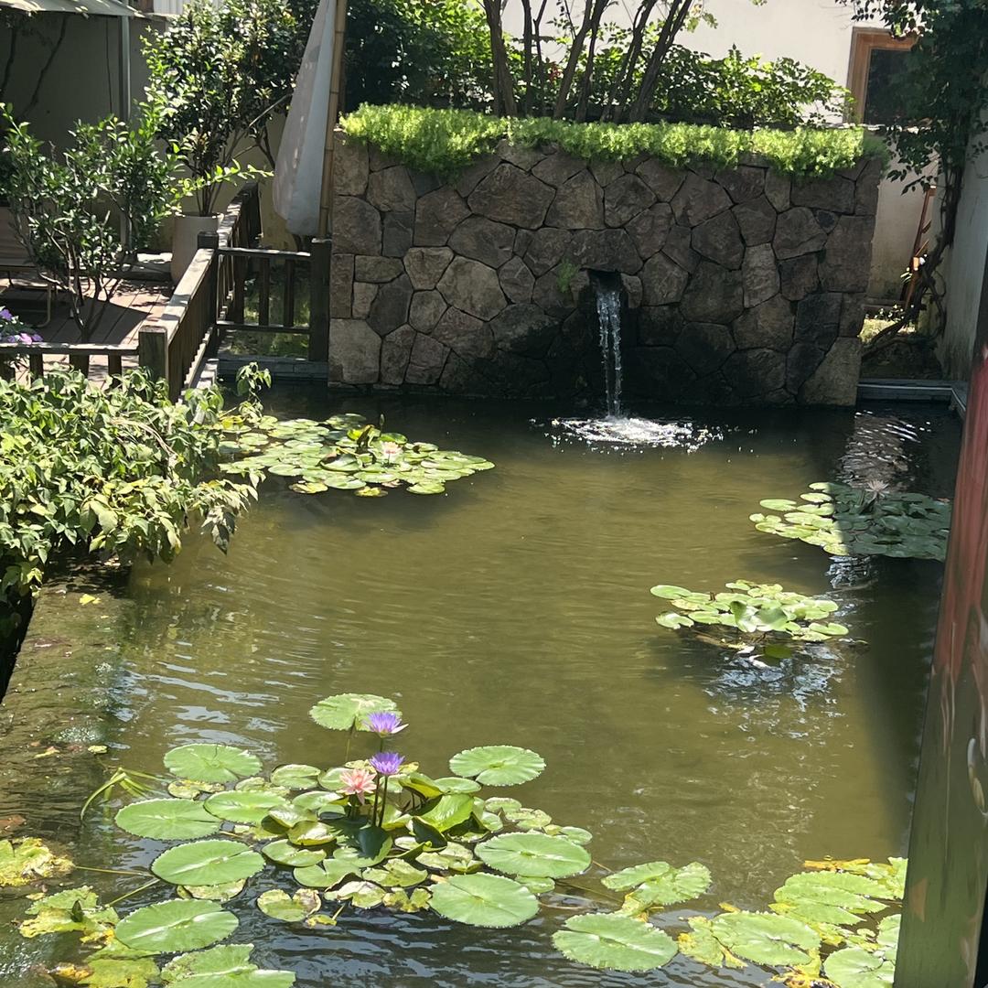 杭州木系优品