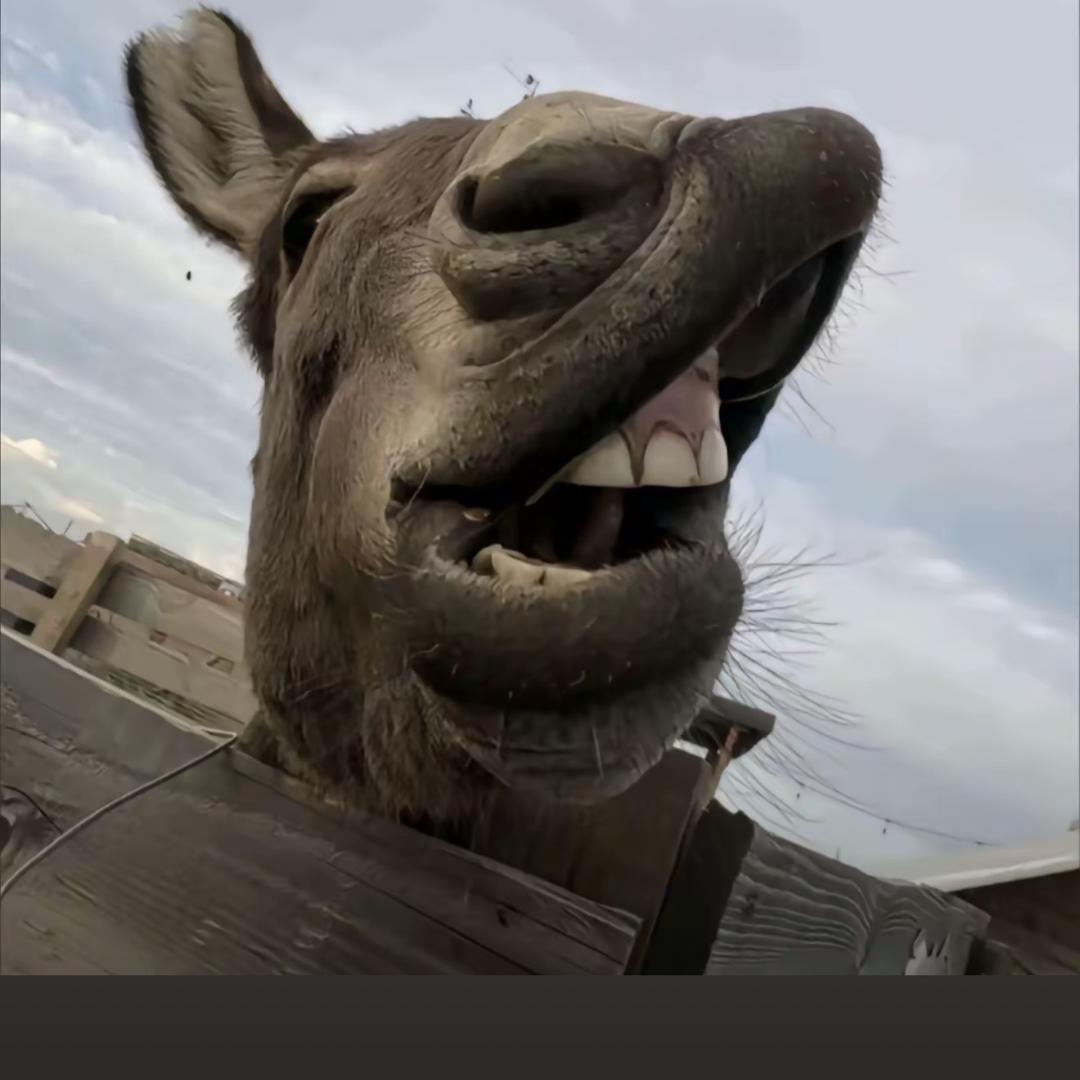 把痔疮揪出来搓成弹丸打你家玻璃