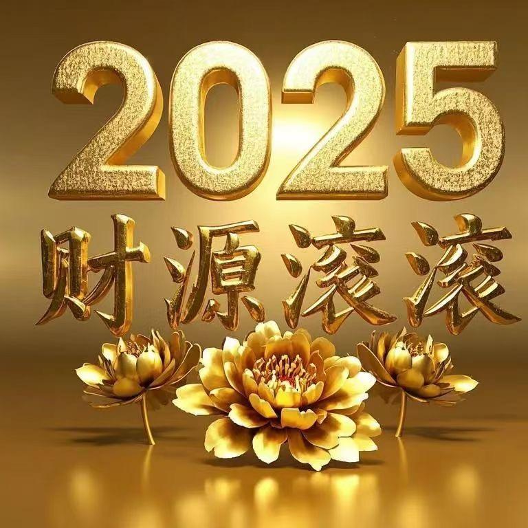 鹏程万里:鹏哥