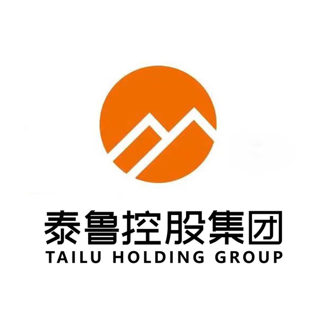 泰鲁控股集团有限公司