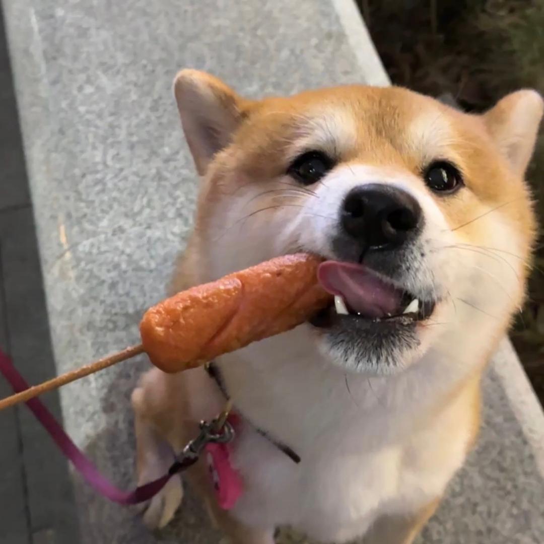 怕冷的小翰