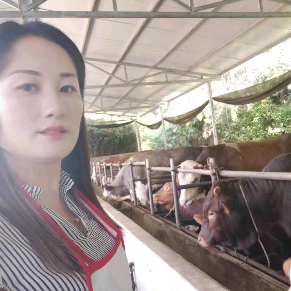 三嫂子