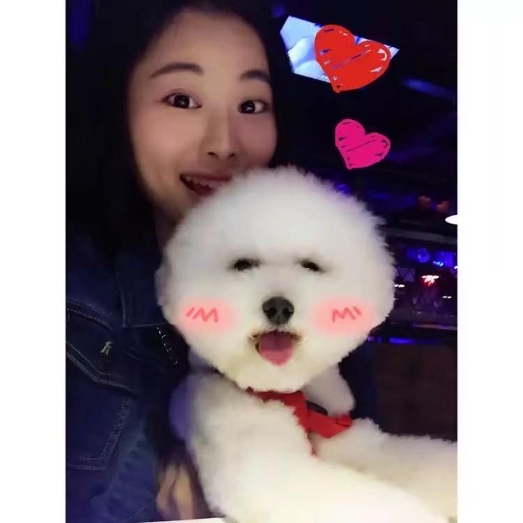 小酸奶