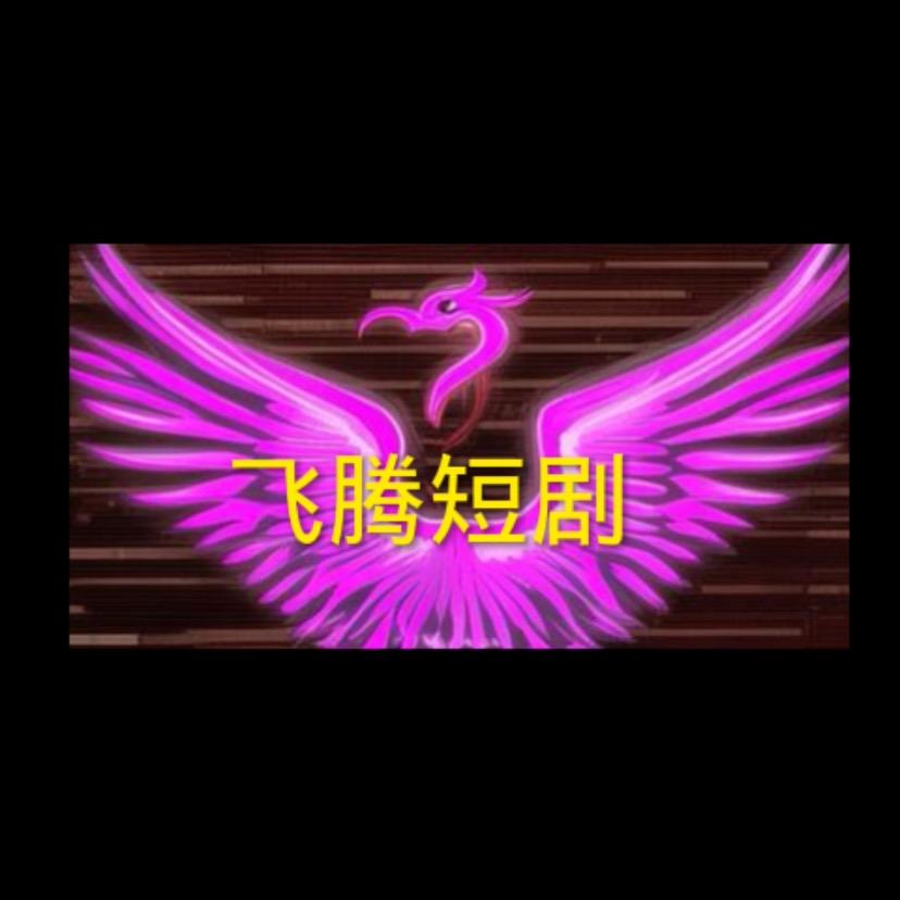 飞腾视讯