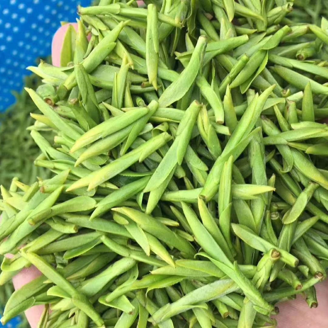 三亩地茶叶