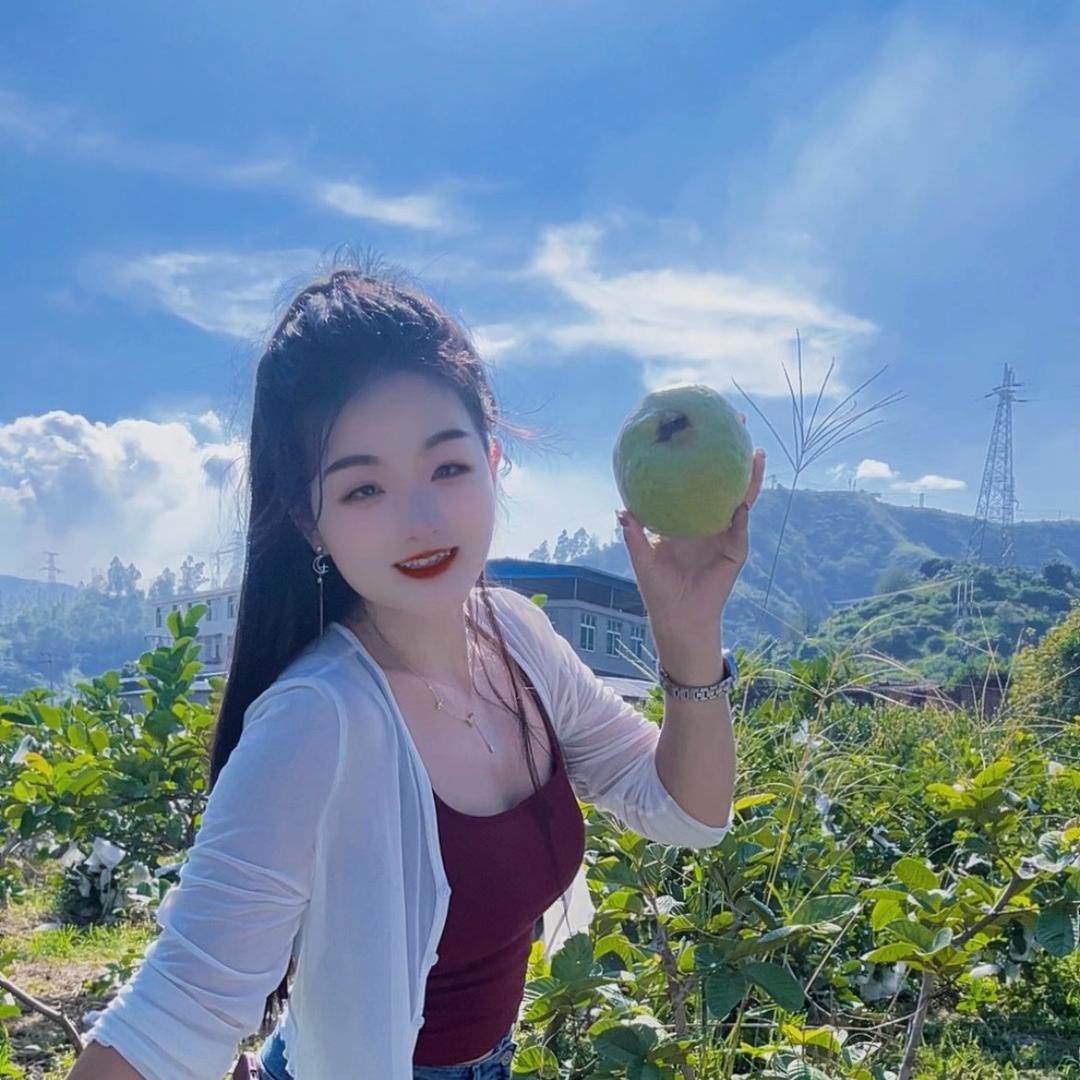 凉山～小燕子
