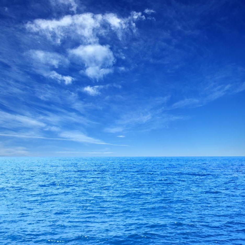 海燕家