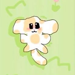 Dy芯花🎀