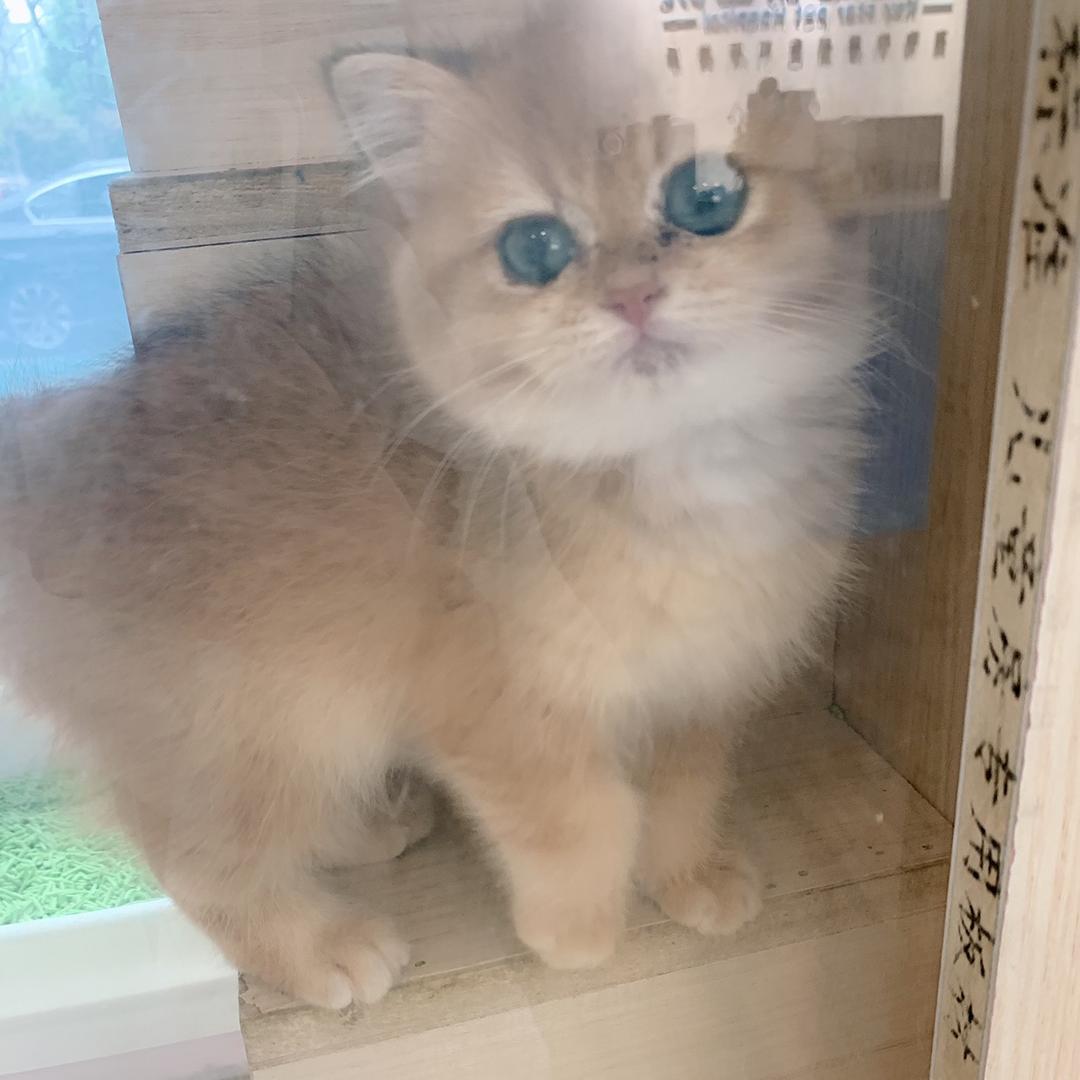 🐅¹⁹₉₉刘℘࿐