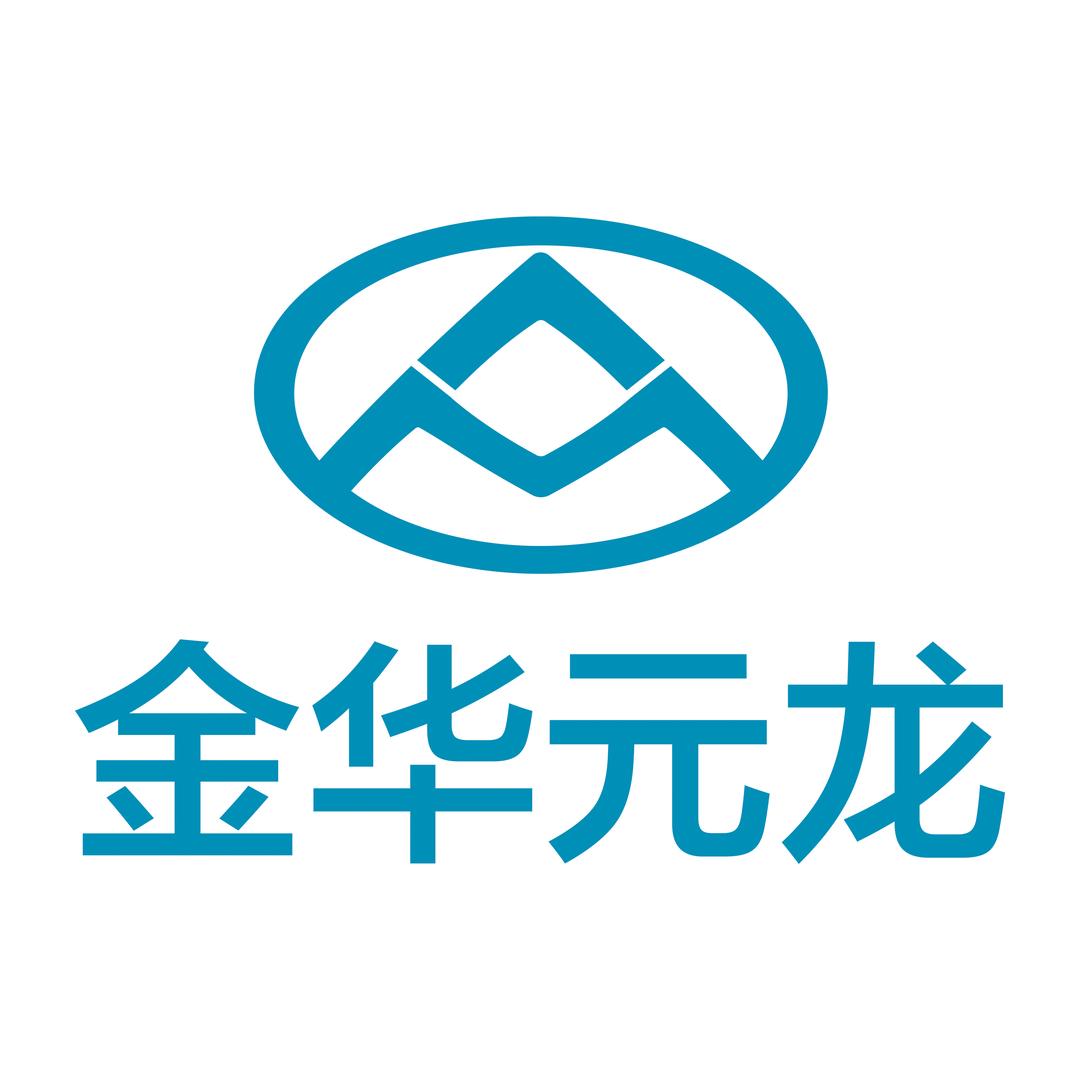 大通皮卡金华元龙