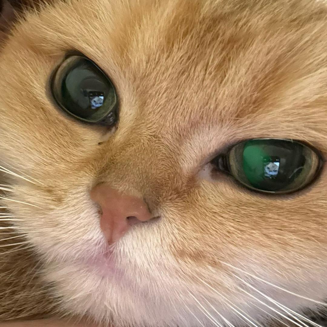&