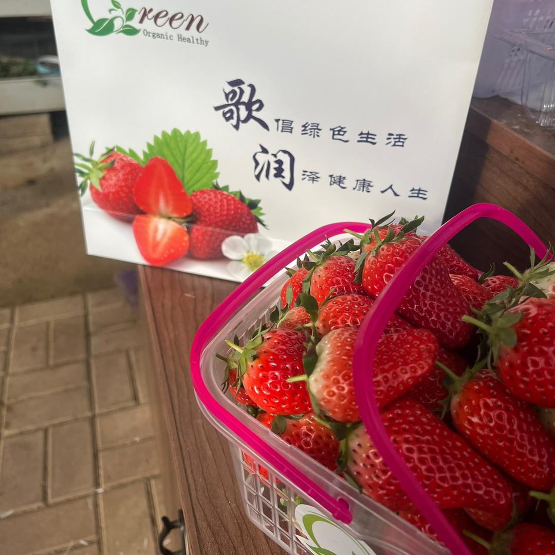 乳山市歌润生态园