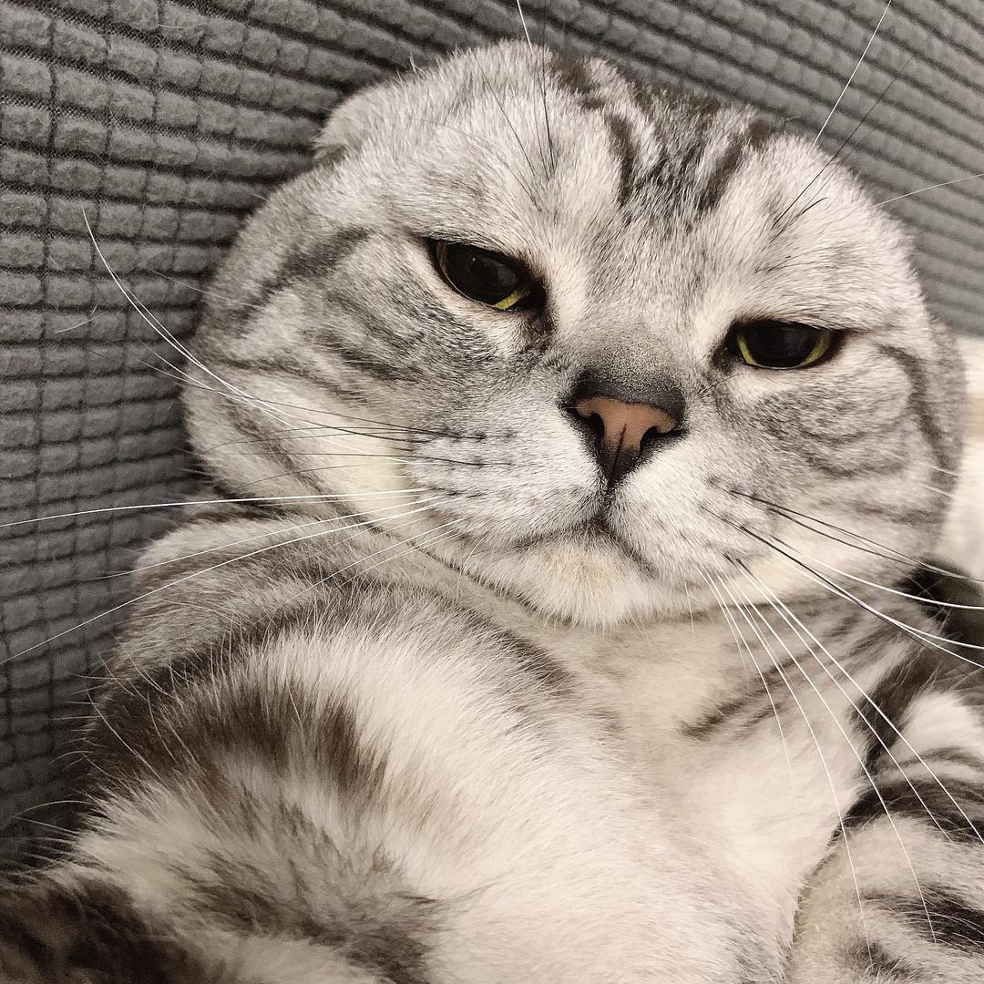 我不叫杨博文了