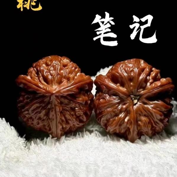 核桃俱乐部生活笔记