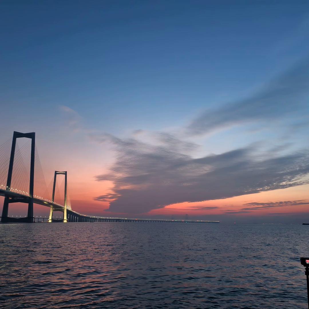 烦恼全都“吴”🌻