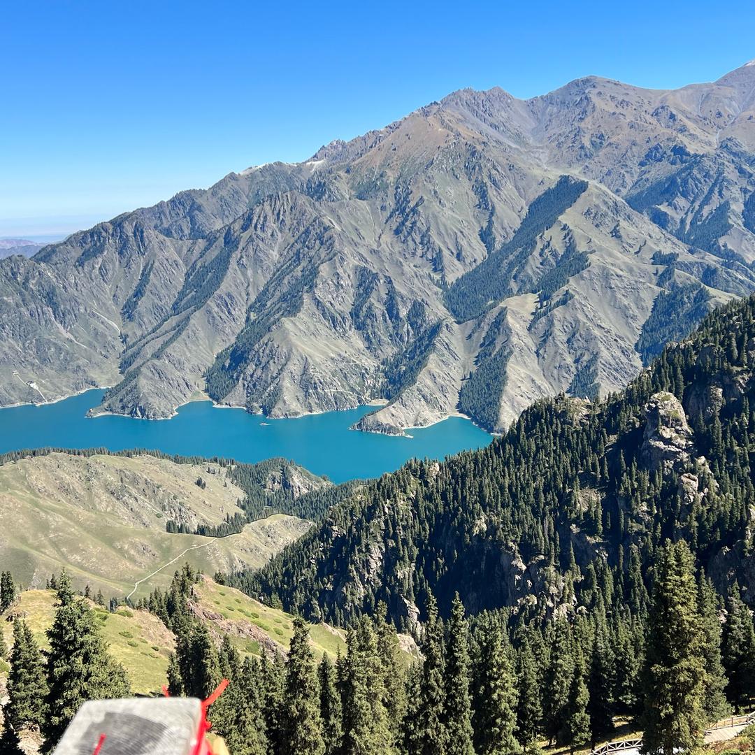 风：过：无：迹