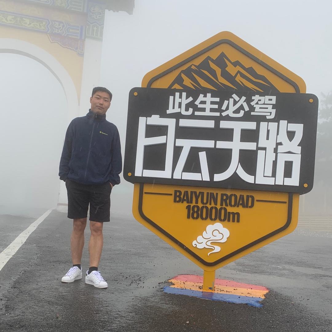 法桐