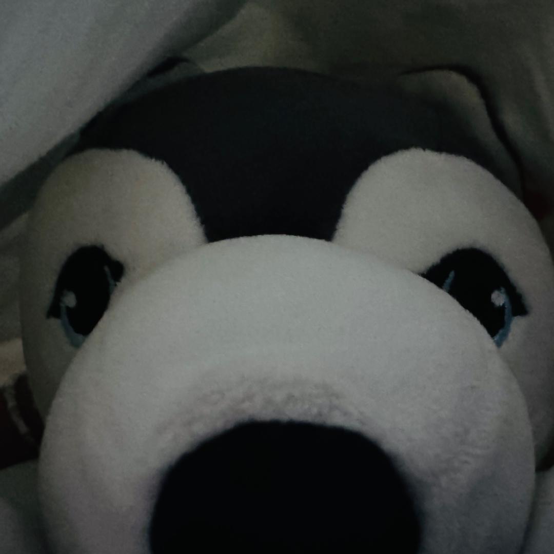 芝士丸丸有点甜