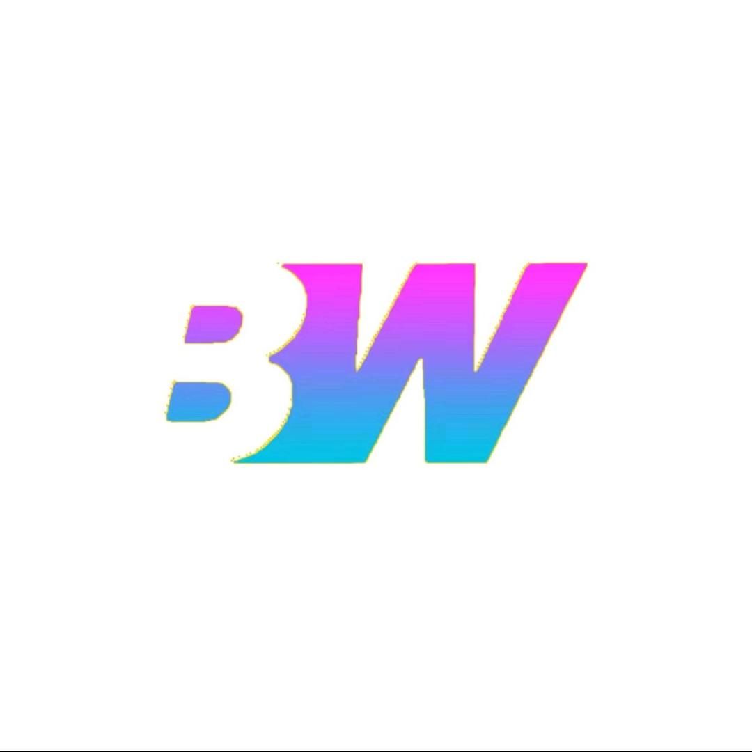 BW-觅光115