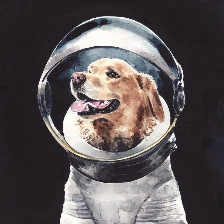 Artemis