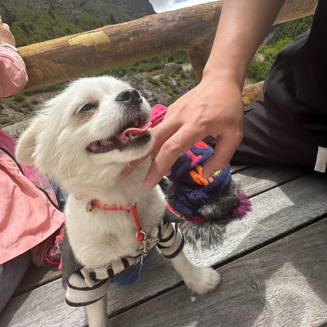 。？