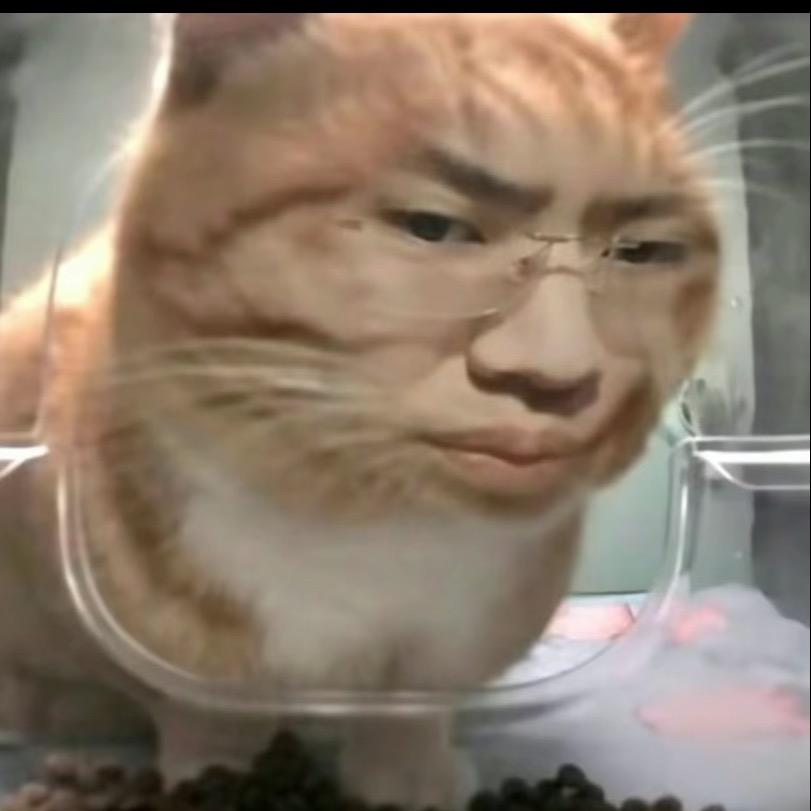 内蒙古深海大鱿鱼