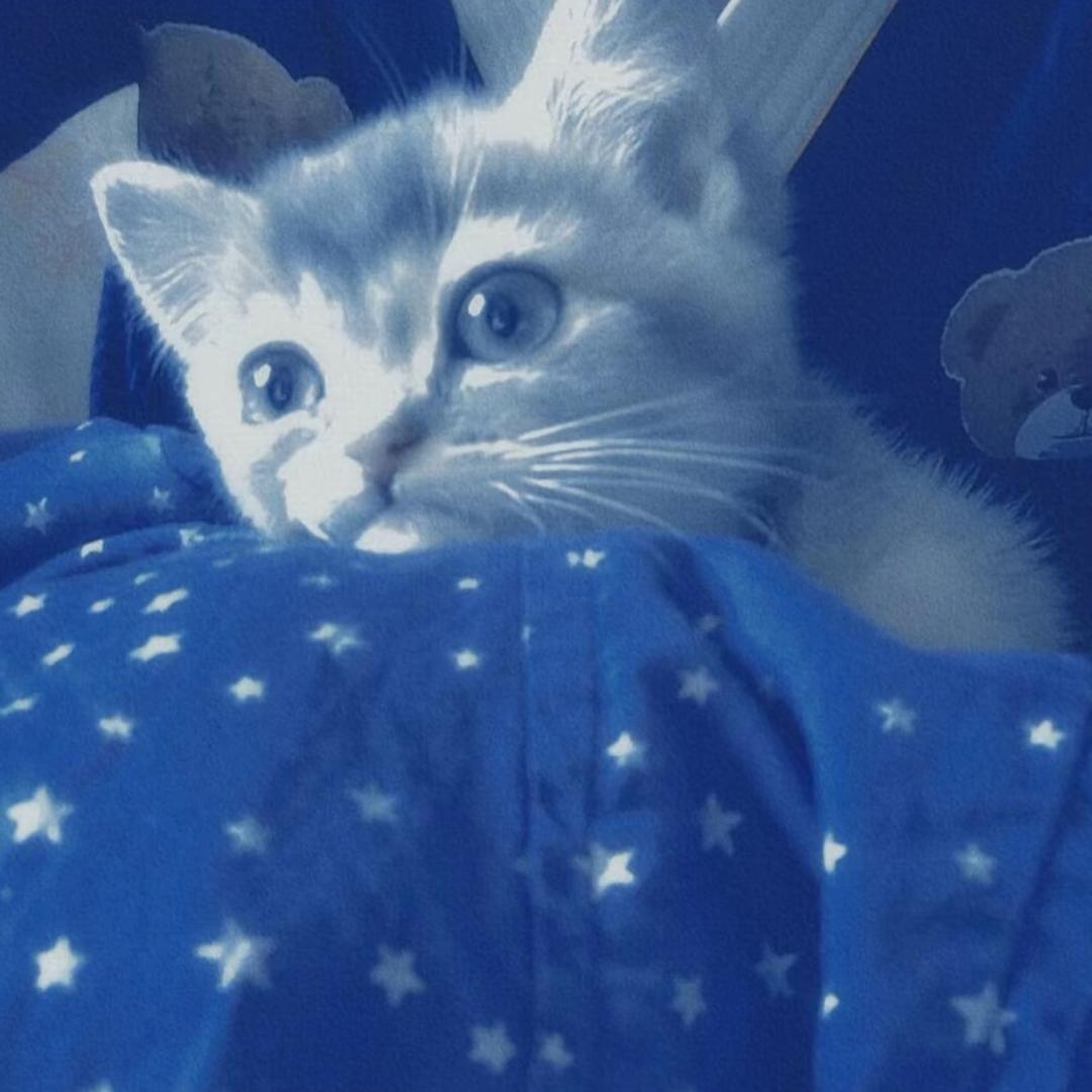 Auㅤ