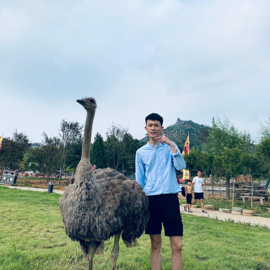 赵老师什么都不会