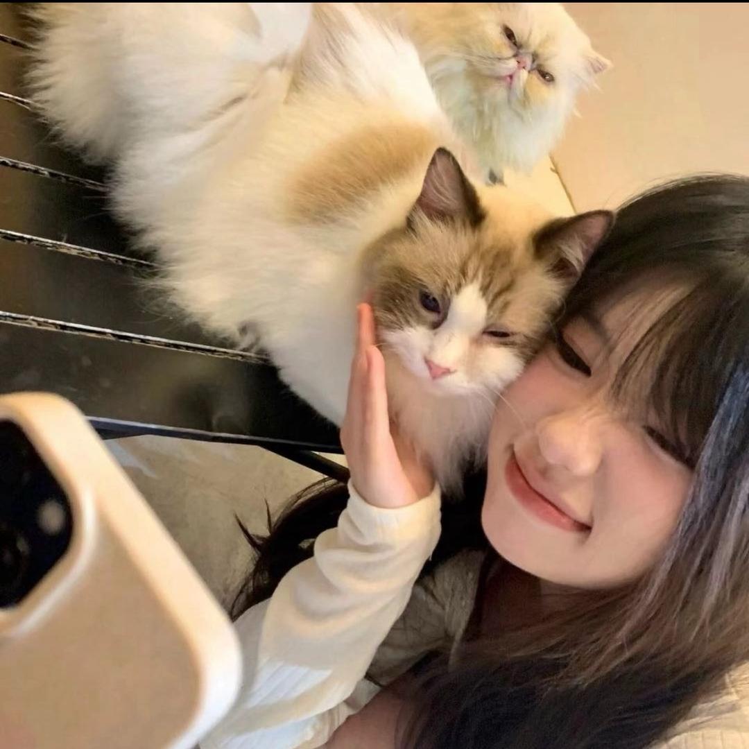 甜腻腻