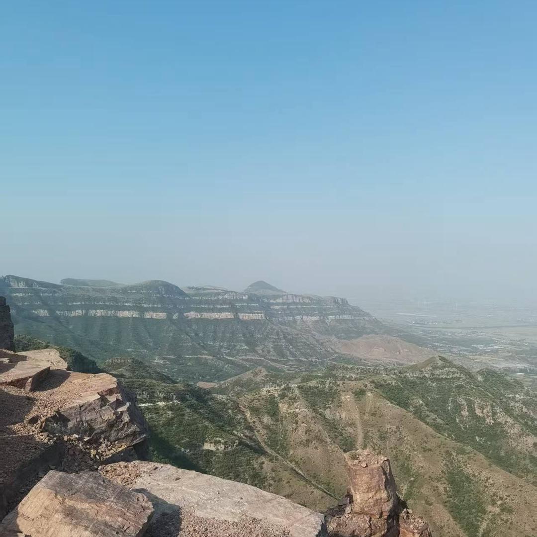 实实在在养鸡人