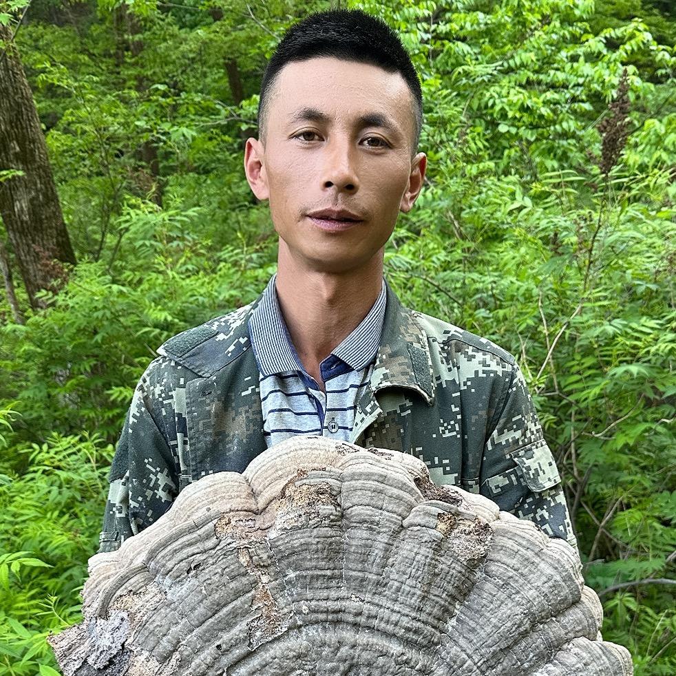梓诚臻选农品