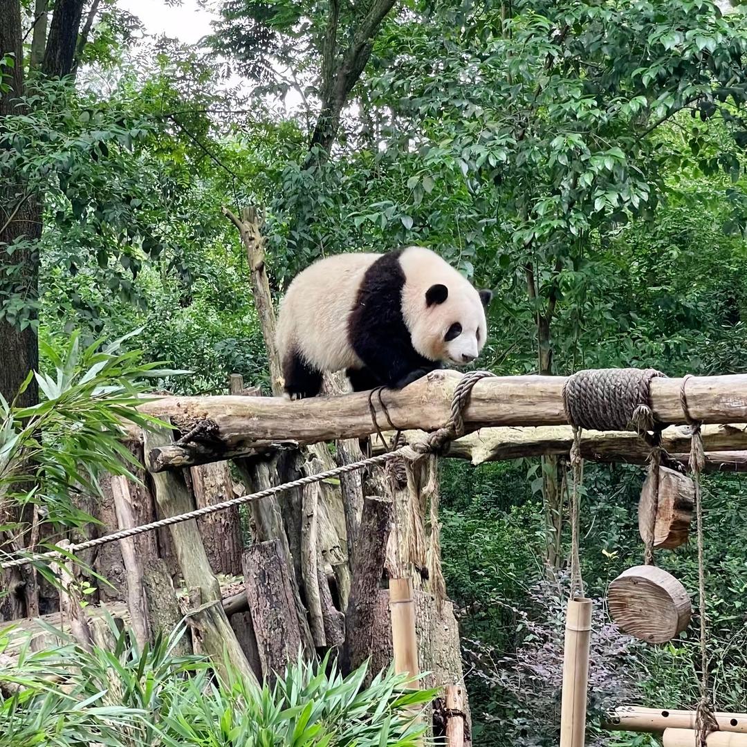 航拍东营