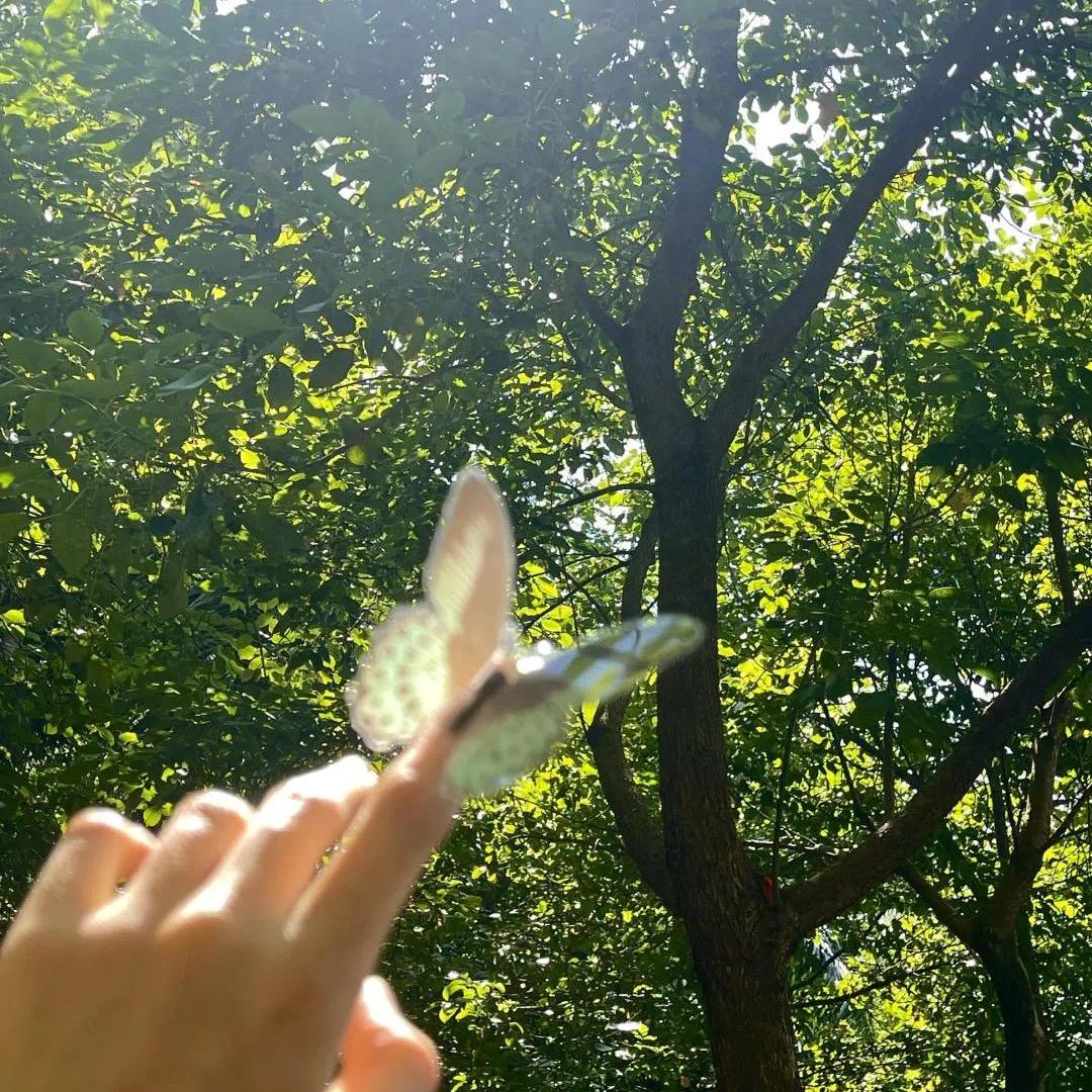 ᥫᩣℒℴѵℯ初见: 🍀᭄