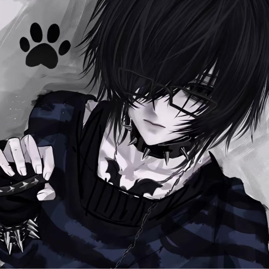 ⁺ʚ🐱ɞ⁺